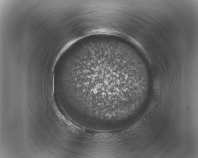 X0000078831323200612041803