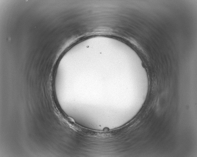 X0000078831325200612041803