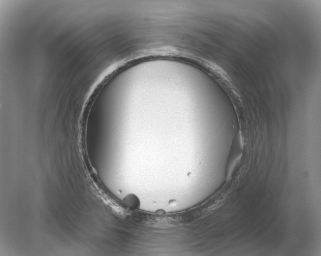 X0000078831326200612041803