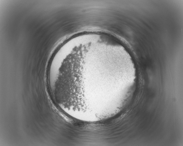 X0000078831327200612041803