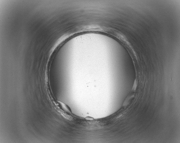 X0000078831328200612041803