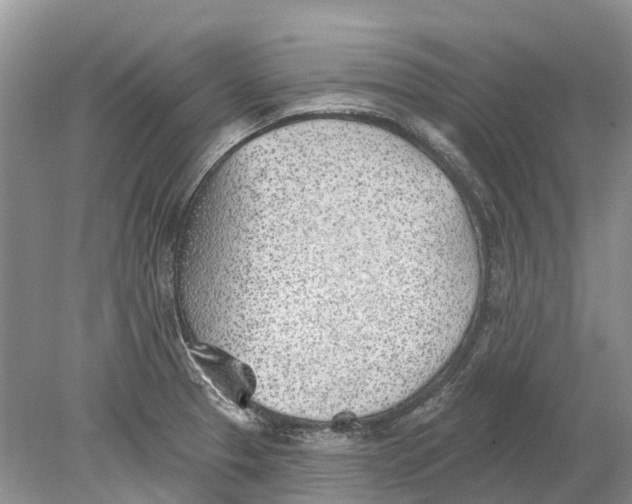 X0000078831329200612041803