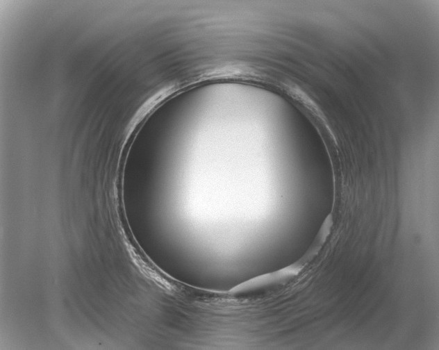 X0000078831330200612041803