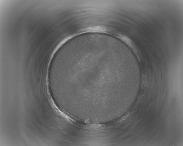 X0000078831331200612041803