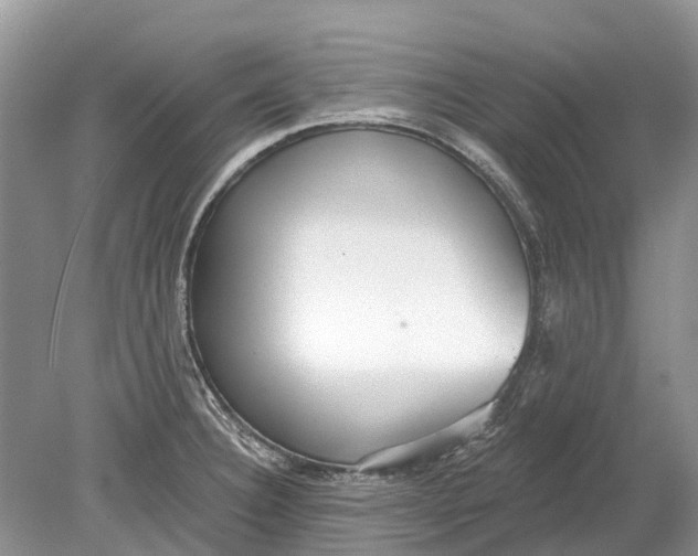 X0000078831332200612041803