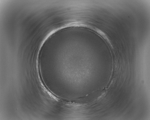 X0000078831334200612041803