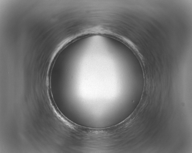 X0000078831335200612041803