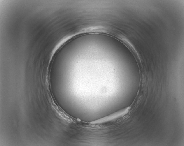 X0000078831336200612041803