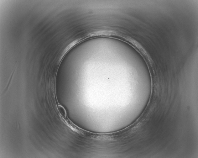 X0000078831337200612041803