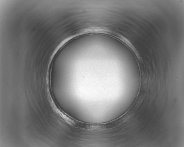 X0000078831339200612041803