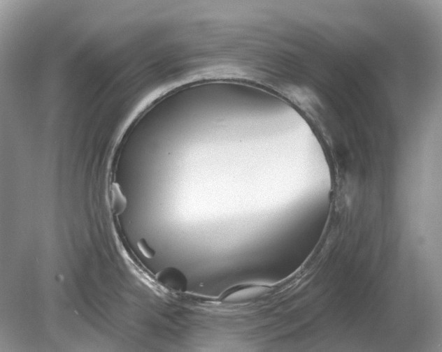 X0000078831342200612041803