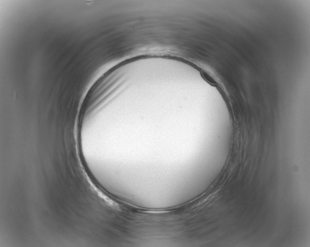 X0000078831343200612041803