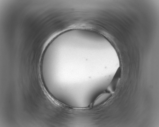 X0000078831344200612041803