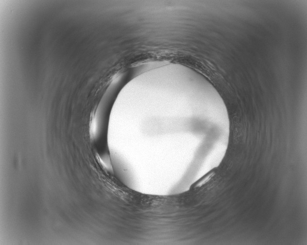 X0000078831345200612041802