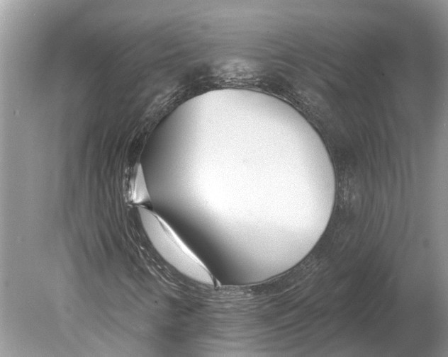 X0000078831346200612041802