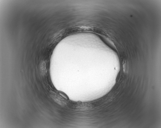 X0000078831347200612041802