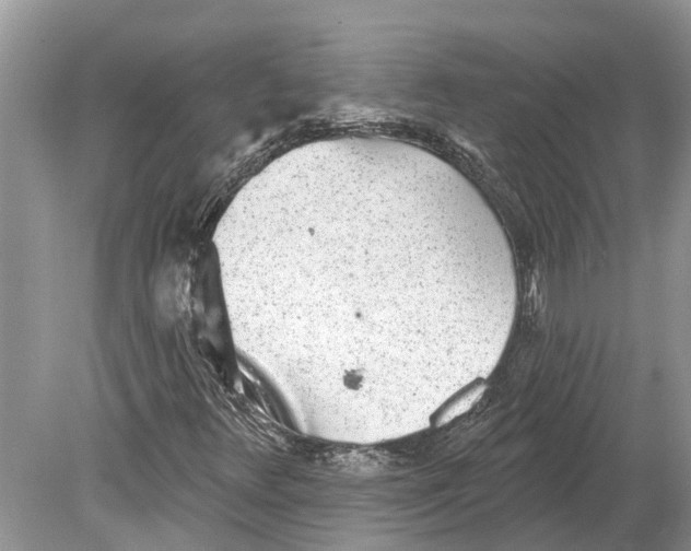 X0000078831348200612041802