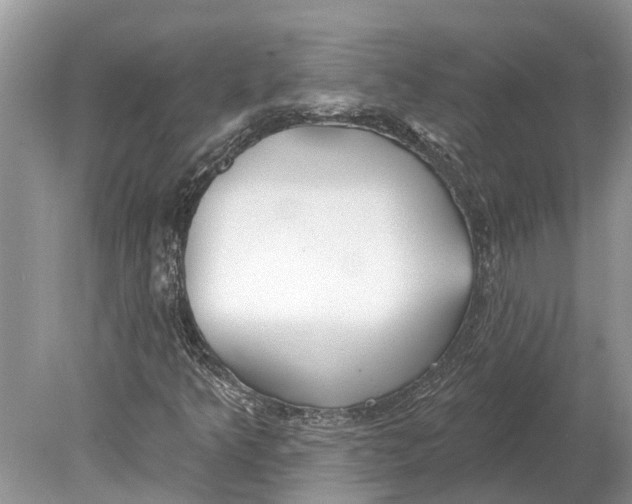 X0000078831349200612041802