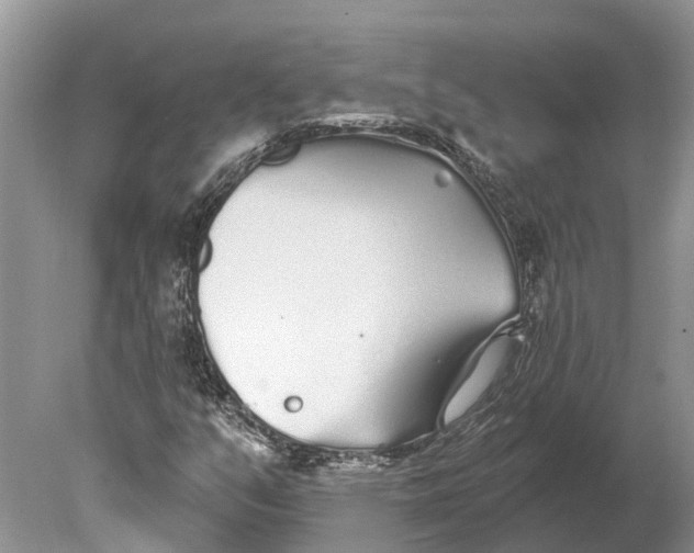 X0000078831351200612041802