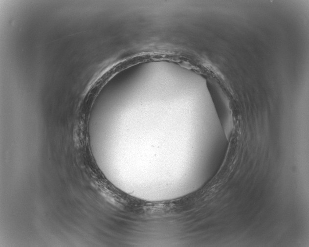 X0000078831352200612041802