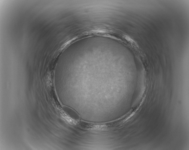 X0000078831353200612041802