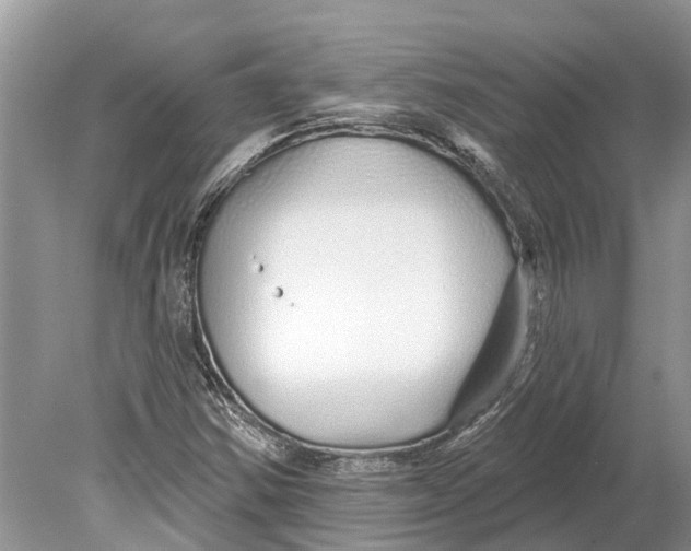 X0000078831354200612041802