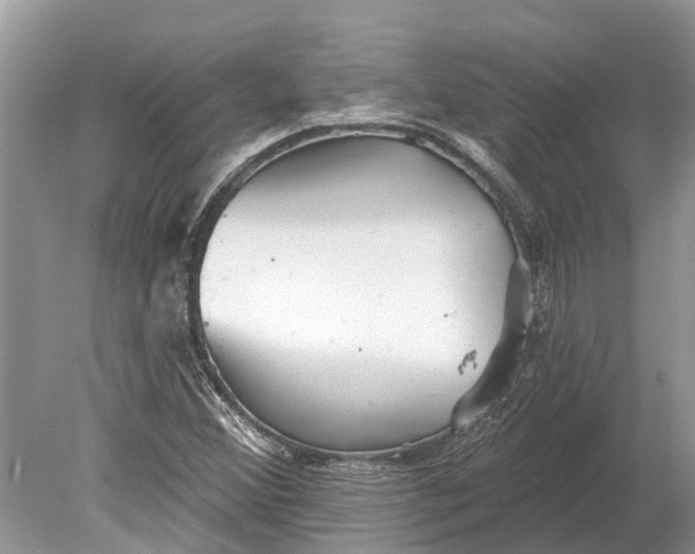 X0000078831356200612041802