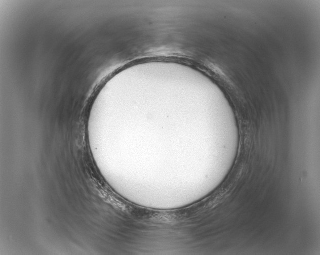 X0000078831358200612041802