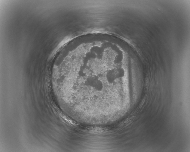 X0000078831359200612041802