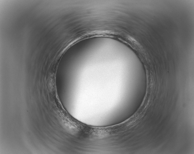 X0000078831361200612041802