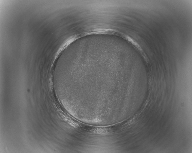 X0000078831362200612041802