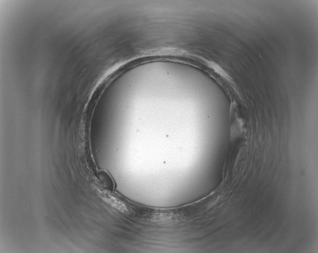 X0000078831364200612041802