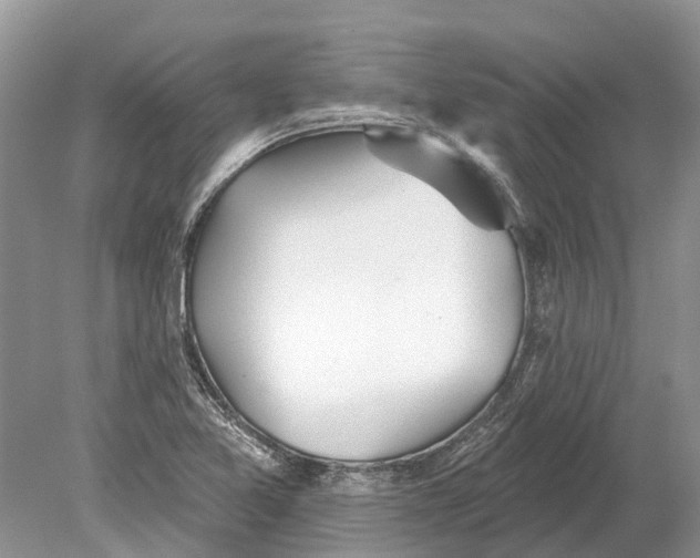 X0000078831365200612041802