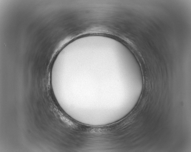 X0000078831366200612041802