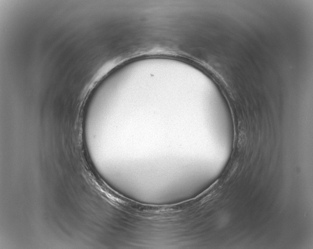 X0000078831367200612041802