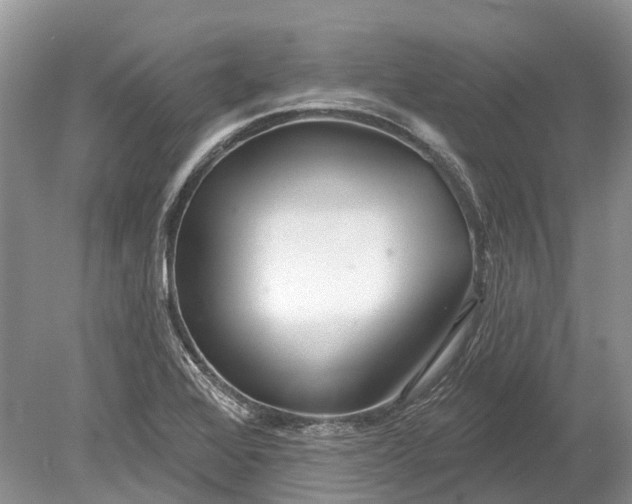 X0000078831368200612041802