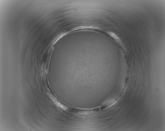 X0000078831369200612041802