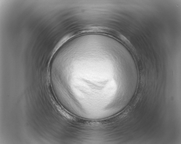 X0000078831370200612041802