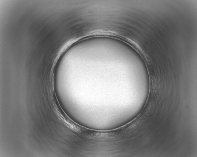 X0000078831371200612041802