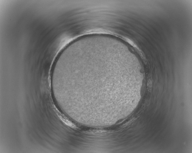 X0000078831372200612041802