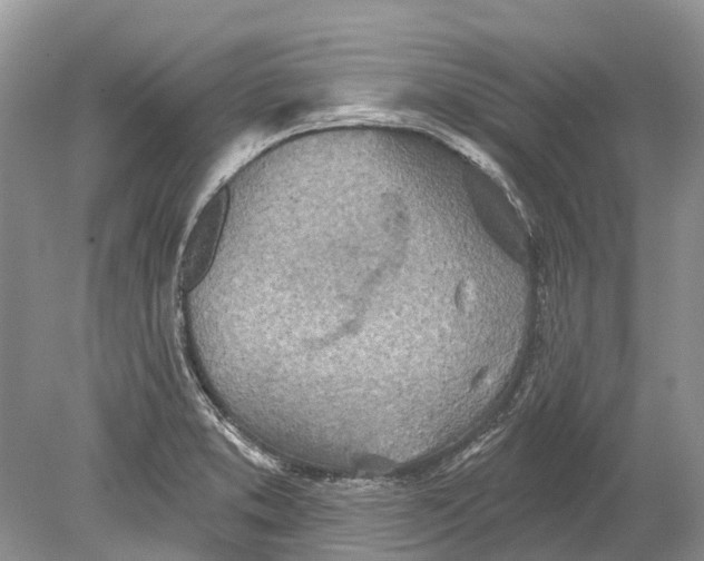 X0000078831373200612041802