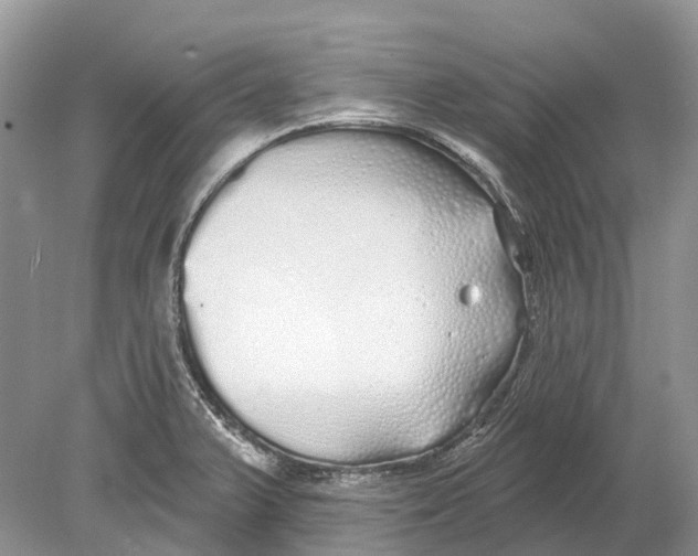 X0000078831375200612041802