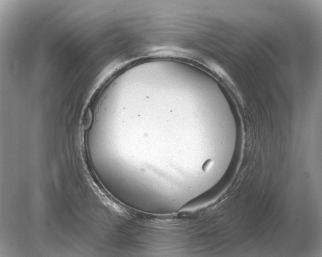 X0000078831376200612041802