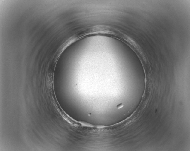 X0000078831377200612041802