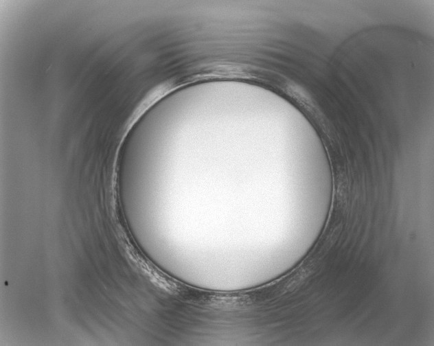 X0000078831378200612041802