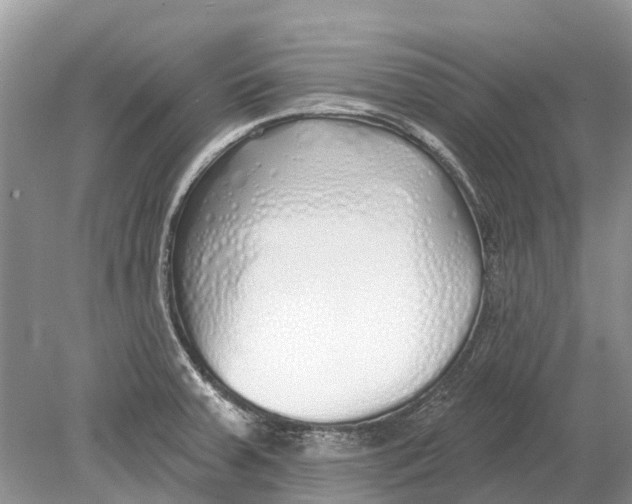 X0000078831379200612041802