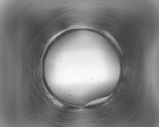 X0000078831380200612041802