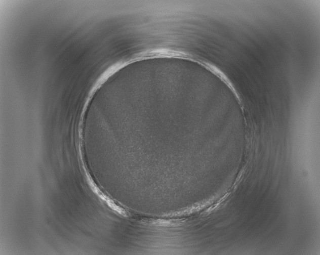 X0000078831381200612041802