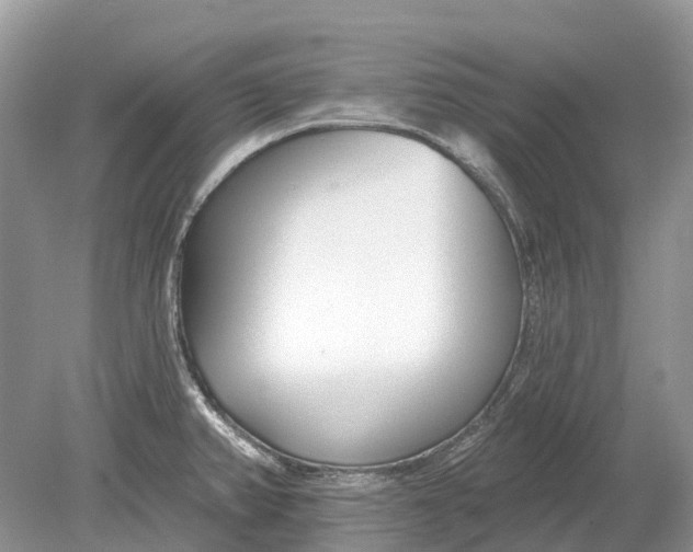 X0000078831382200612041802