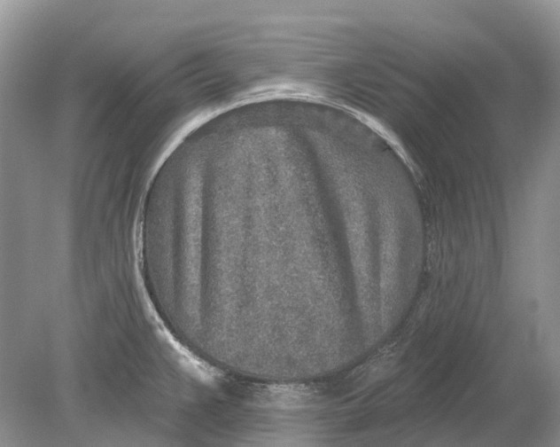 X0000078831383200612041802